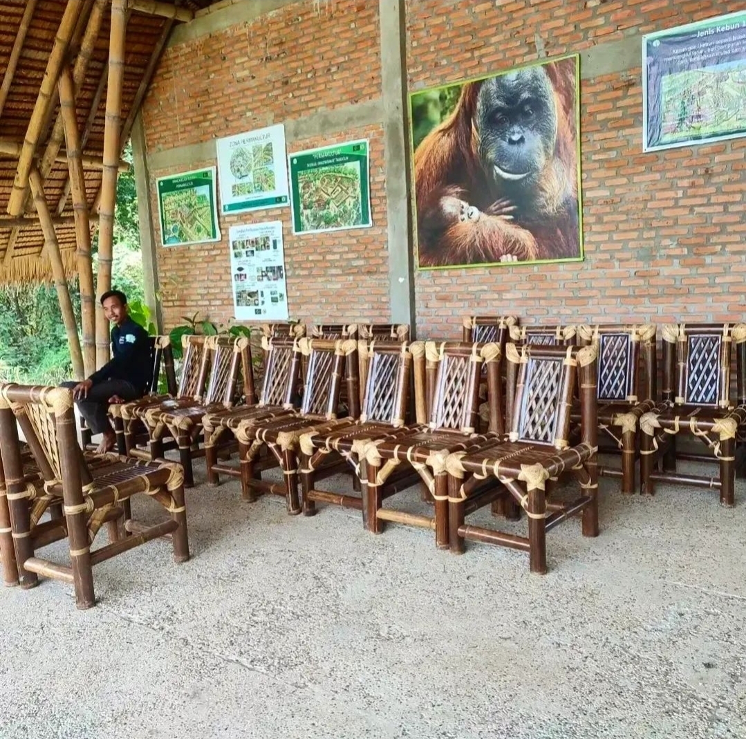 Chairs built with Jack's donations